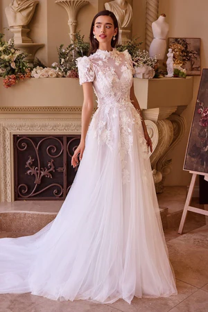 Wedding Dresses